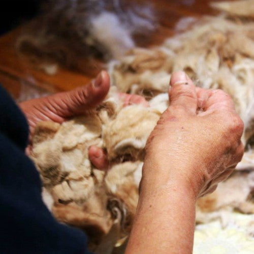 Fibras Naturales para el Desarrollo Local y el Ecosistema Mundial