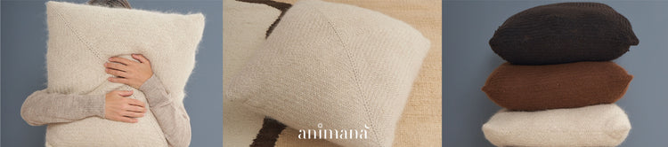 Fundas