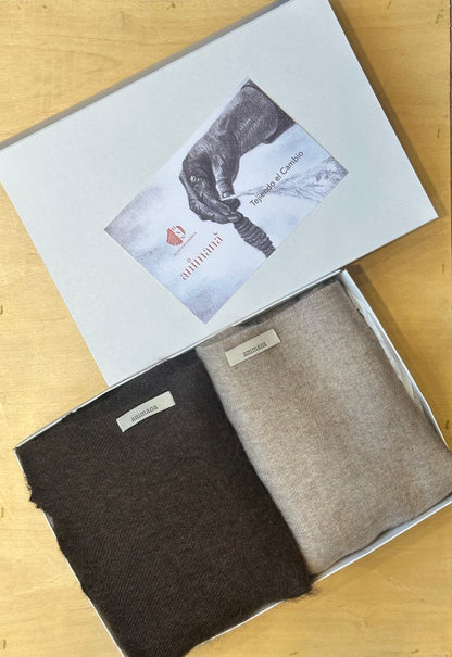 Set 2 Bufandas l Albert & André