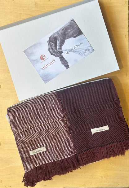 Set 2 Bufanda Agne | 50% Llama, 50% Merino