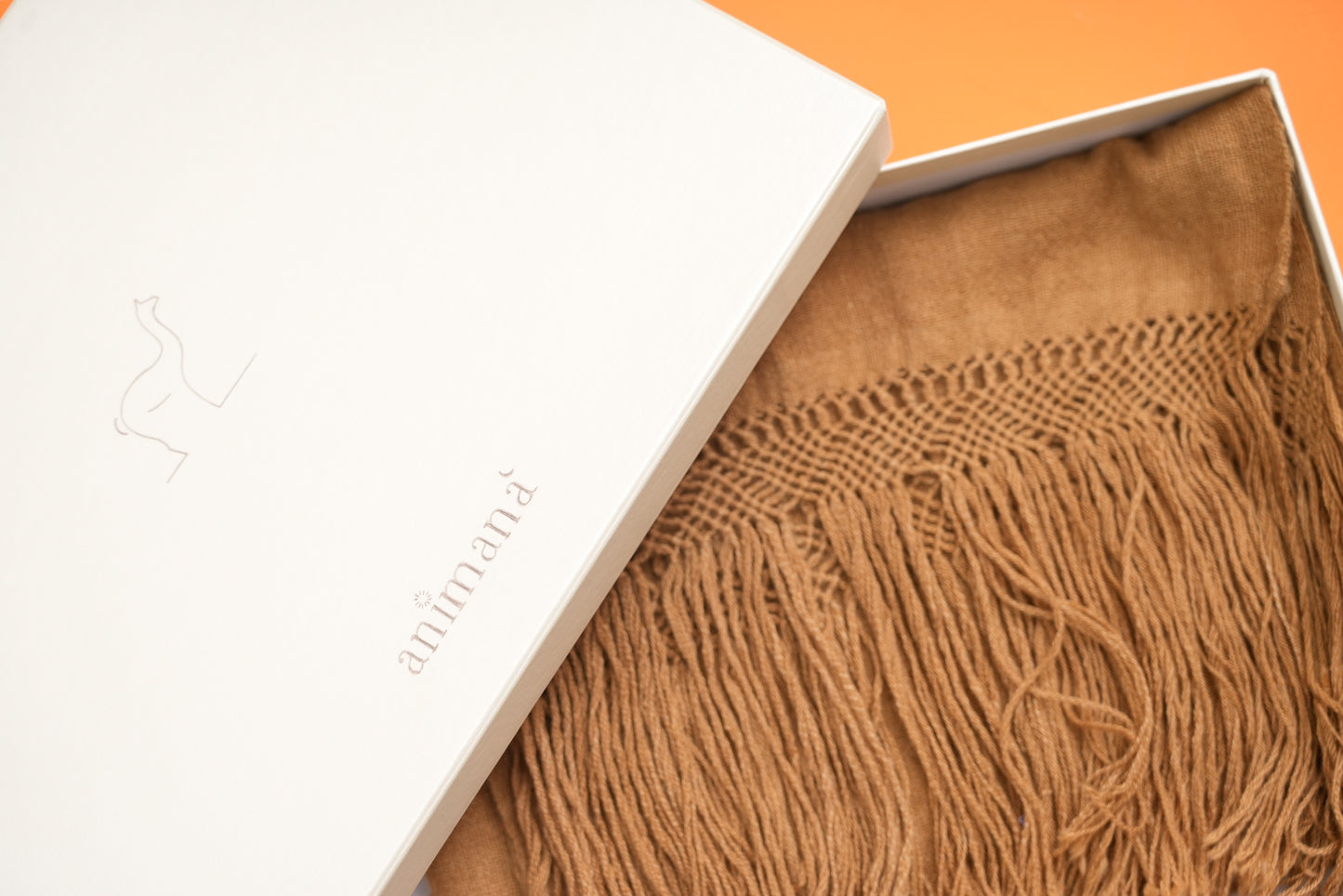 Corbatín | 100% Vicuña