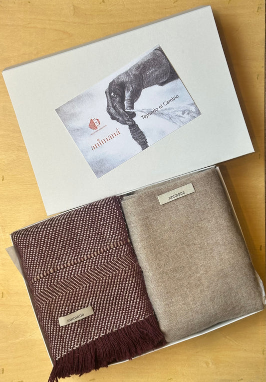 Set 2 Bufandas l Agne & Albert