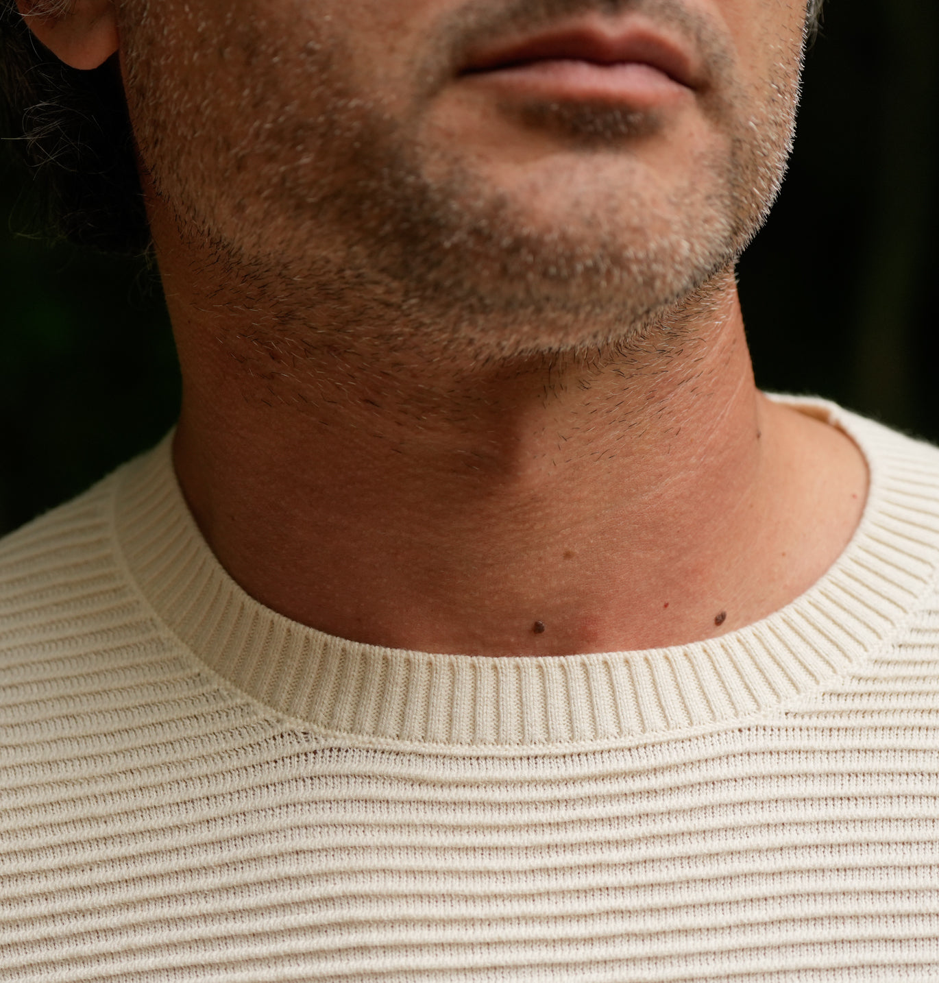 Sweater Artur | 100% Algodón