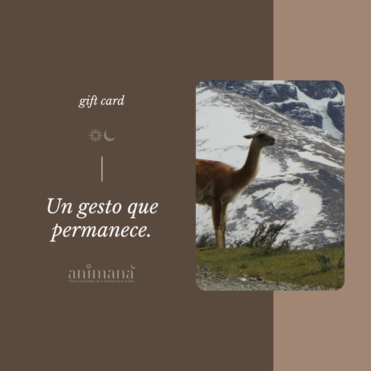 Gift Card animaná | Tarjeta de Regalo